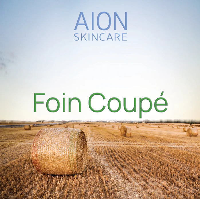 Aion Skincare | Alcohol Free Aftershave Splash - Foin Coupé