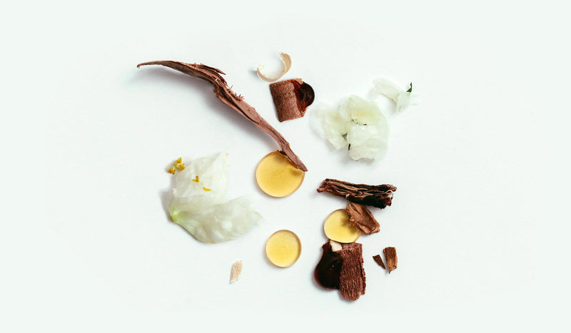 CORPUS | Naturals Deodorant Stick