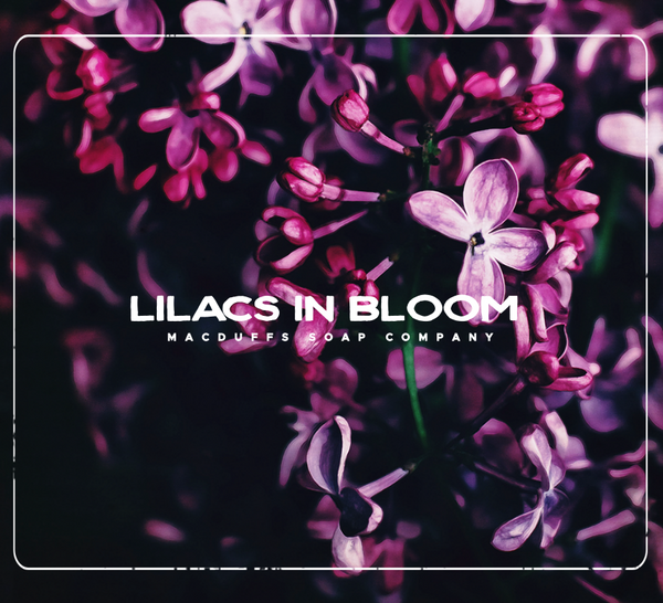 Macduffs Soap Company | LILACS IN BLOOM AFTERSHAVE SPLASH