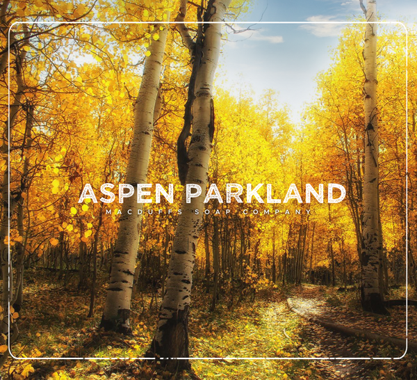 Macduffs Soap Company | Aspen Parkland (Unscented) AFTERSHAVE