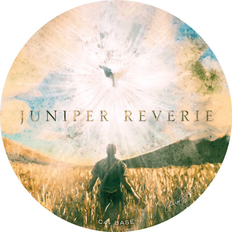 Gentleman’s Nod | JUNIPER REVERIE SHAVE SOAP